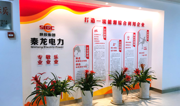 陕西秦龙电力股份有限公司